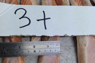 Wedge Fish Limited Salmon 3+cm Belly Flaps