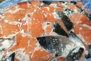 Salmon offcuts from Wedge Fish Limited